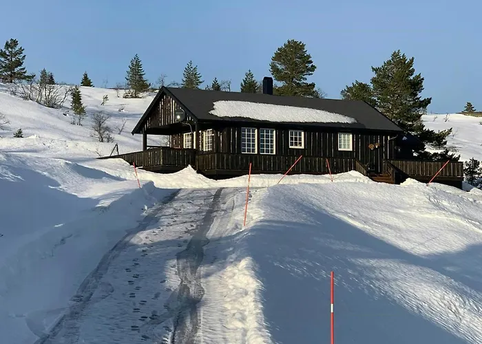 Semesterbostad Mountain With Jacuzzi In Gautefall Drangedal