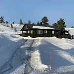 Feriehus Mountain With Jacuzzi In Gautefall Drangedal